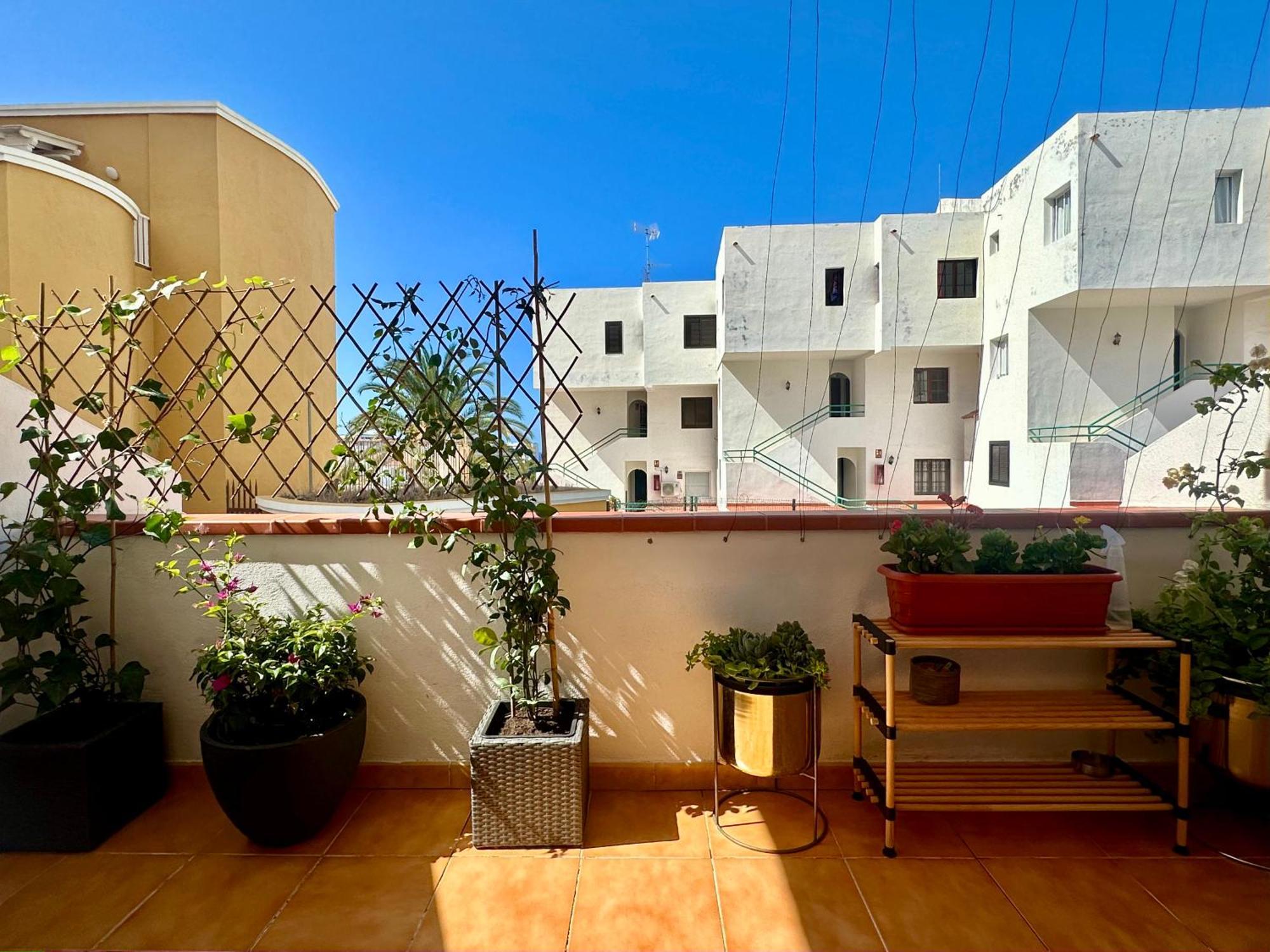 Apartment In Ocean Park Ii, Costa Adeje, Tenerife Zewnętrze zdjęcie